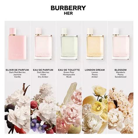 burberry her equivalencia|Burberry Her peony scent.